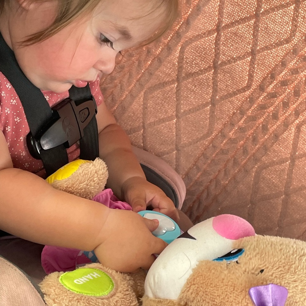 Fisher Price Laugh & Learn smart stages “sis” Girls learning toy!